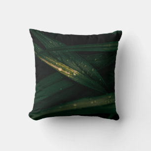 COUSSIN GOUTTES D'EAU SUR LA FEUILLE VERTE