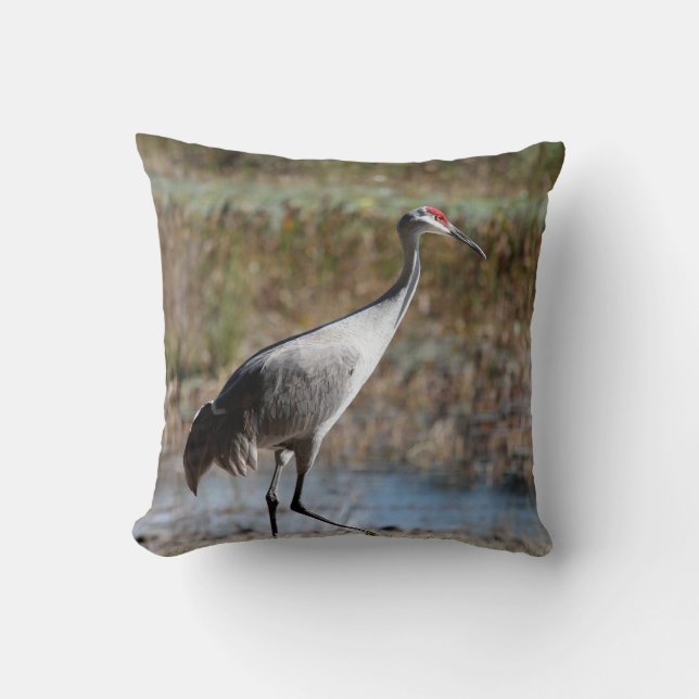 Coussin Graine de Sandhill (Recto)