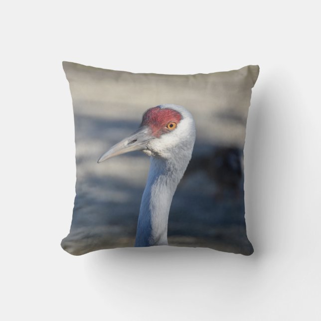 Coussin Graine de Sandhill (Recto)