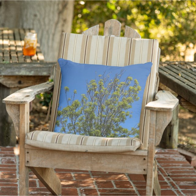 Coussin Grand Ash Tree Dans La Belle Photo Ciel Bleu (Chaise)