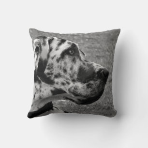 COUSSIN GRAND DANE