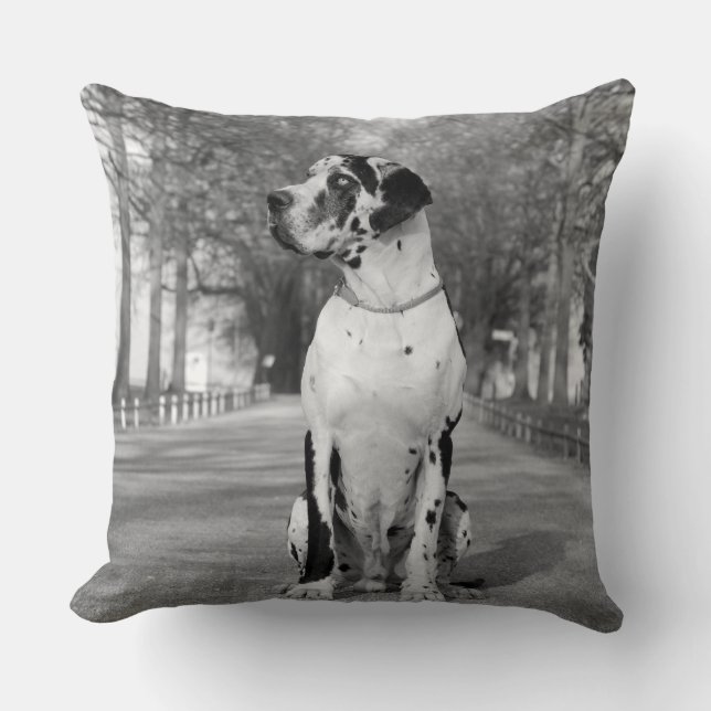 Coussin Grand Danois Pillow (Recto)