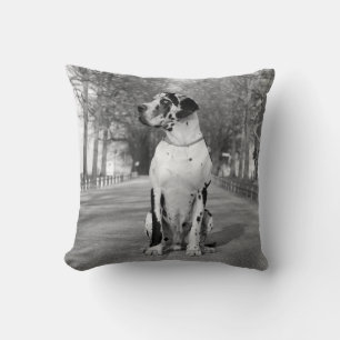 Coussin Grand Danois Pillow