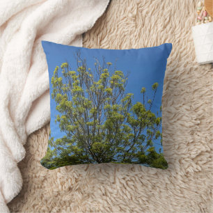 Coussin Grand frêne dans la belle photo de ciel bleu