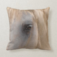 Grand oeil d'un cheval blanc