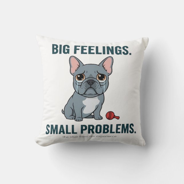 Coussin Grand Sentiments Petits Problèmes Drôle de Bouledo (Recto)