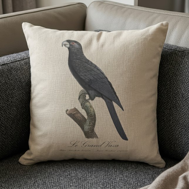 Coussin Grand Vasa, Coracopsis Vasa Illustration (Greater Vasa Parrot, Coracopsis Vasa Illustration. Throw Pillow)
