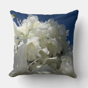 Coussin grande floraison blanche contre ciel bleu