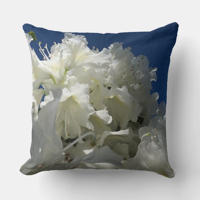 Coussin grande floraison blanche contre ciel bleu (Recto)