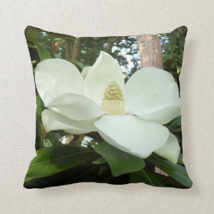 Coussin grandiflora de jet de magnolia