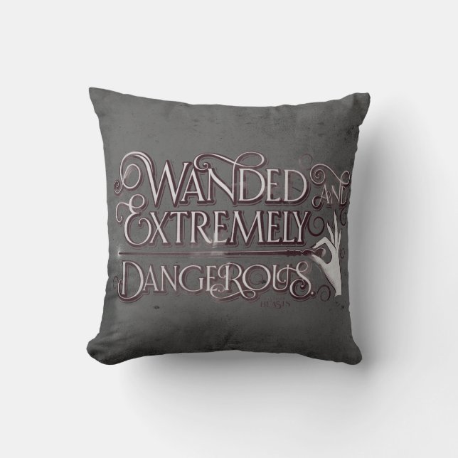 Coussin Graphique Débordé Et Extrêmement Dangereux - Blanc (Recto)
