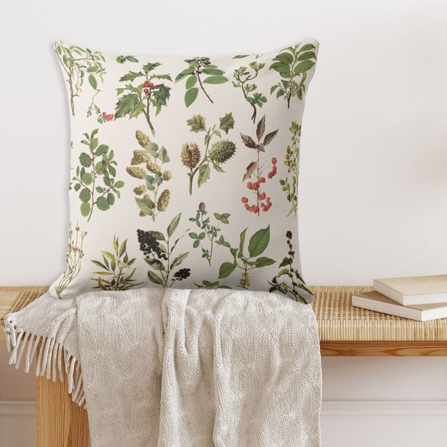 Coussin Graphique Plante vert Herbarium vintage (In situ)