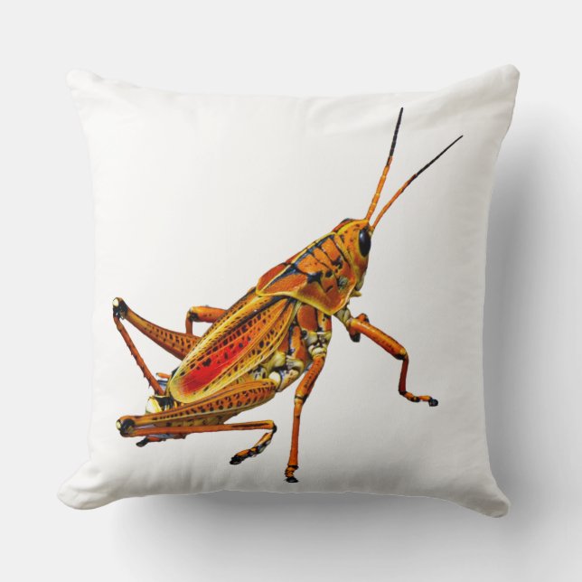 Coussin Grasshopper (Recto)