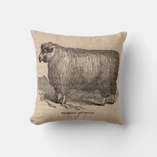 Coussin Gravure du 19e siècle agneau Cotswold d'un an