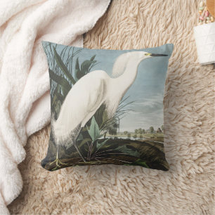 Coussin Gravure vintage d'Audubon représentant l'Aigrette 