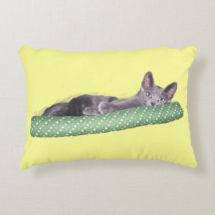 Coussin - Gray Kitten