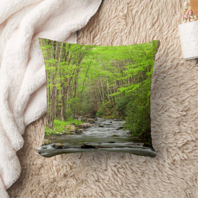 Coussin Great Smoky Mountains National Park Caroline du No (Couverture)