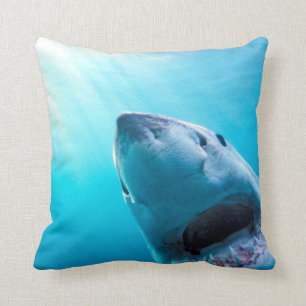 Coussin Great White Shark   Afrique du Sud