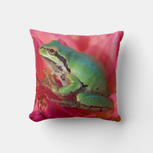 Coussin Grenouille arboricole du Pacifique sur des fleurs