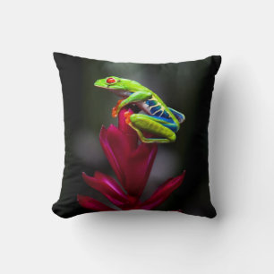 Coussin Grenouille aux yeux rouges