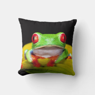 Coussin Grenouille aux yeux rouges, Agalychinis callidryas