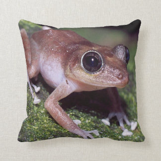 Coussin grenouille d'arbre de #11-female
