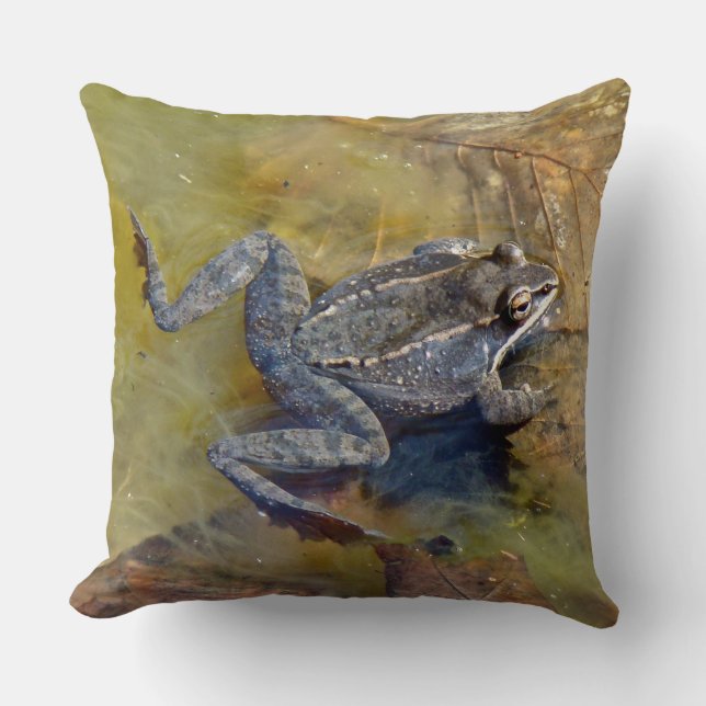 Coussin Grenouille léopard (Recto)