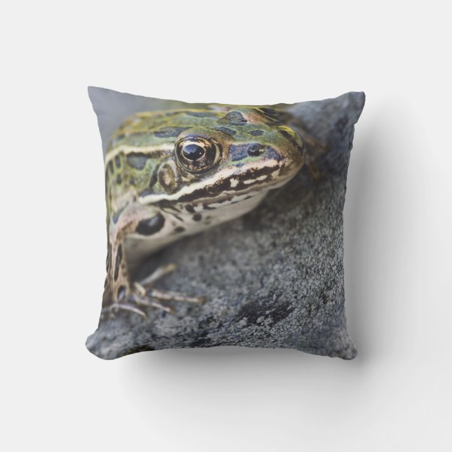 Coussin Grenouille léopard du nord, Île transparente, (Recto)
