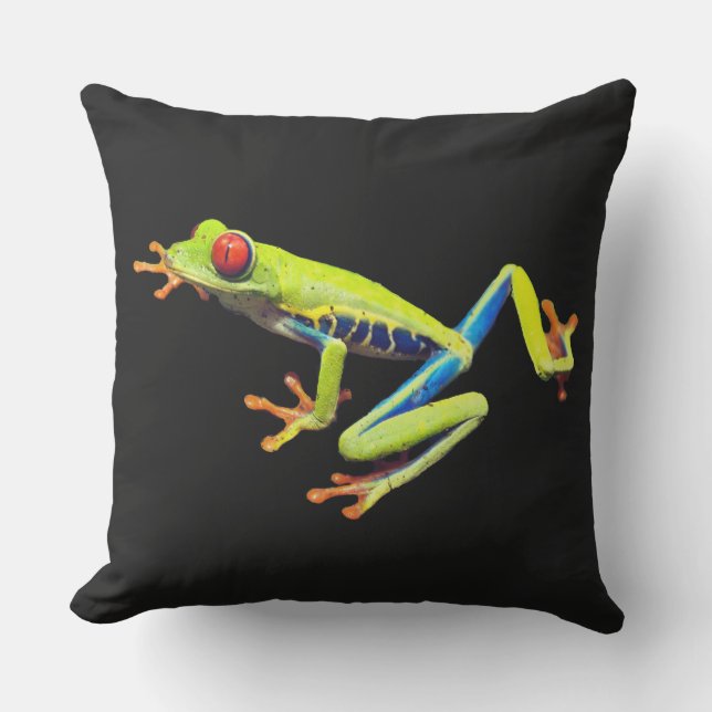 Coussin Grenouille peinte aux yeux rouges (Recto)
