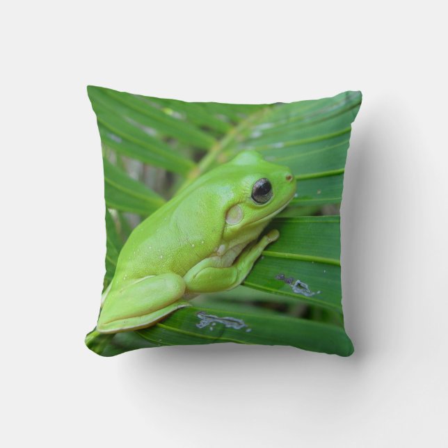 Coussin Grenouille verte (Recto)