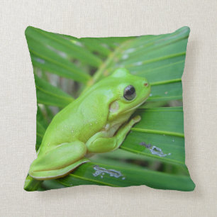 Coussin Grenouille verte