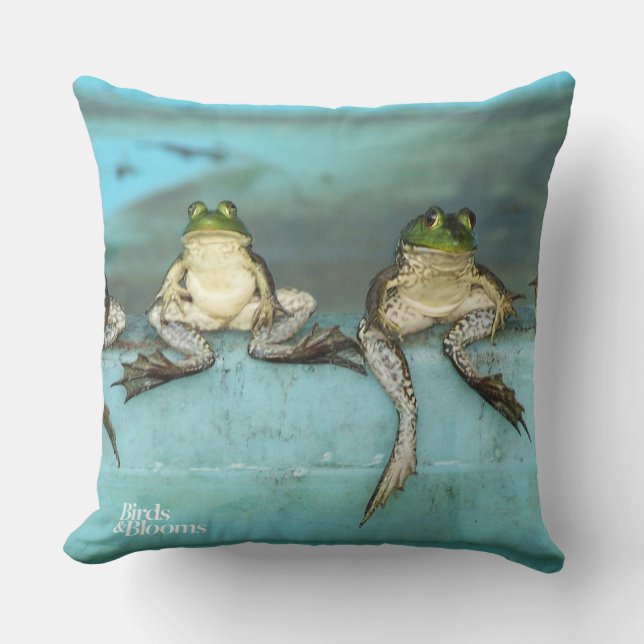 Coussin Grenouilles se reposantes (Recto)
