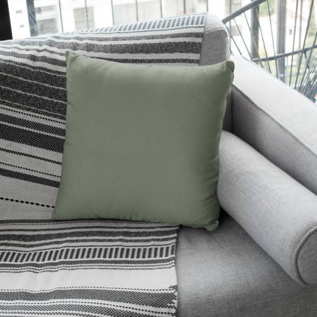 Coussin Grey verdâtre muet (Créateur téléchargé)