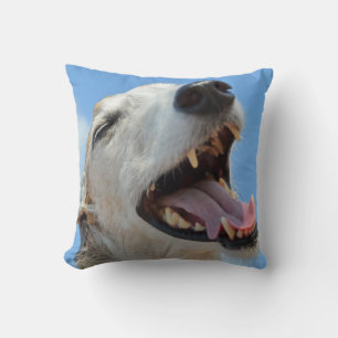 Coussin Greyhound Closeup souriant