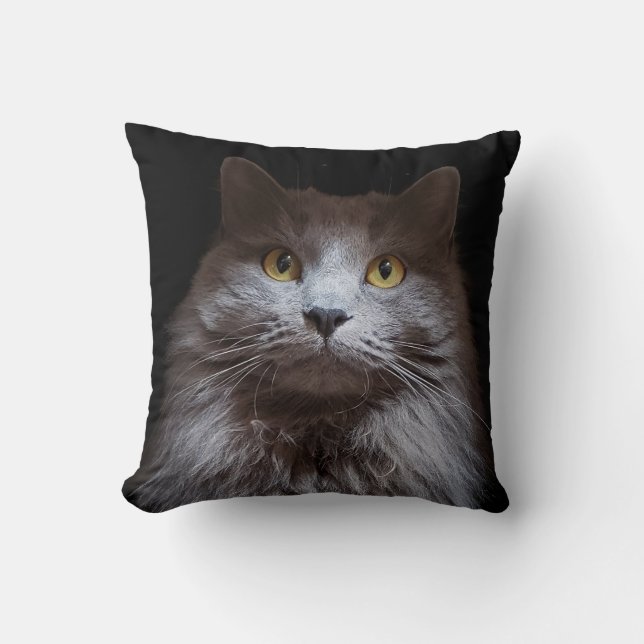 Coussin Gris Nebelung cheveux longs Russe Blue Chat Coussi (Recto)