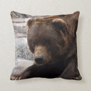 Coussin grizzly-bear-016