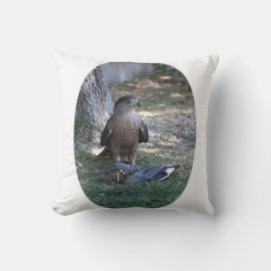 Coussin Gros plan de Faucon recadré
