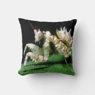 Coussin Gros plan de la mante Hottentot