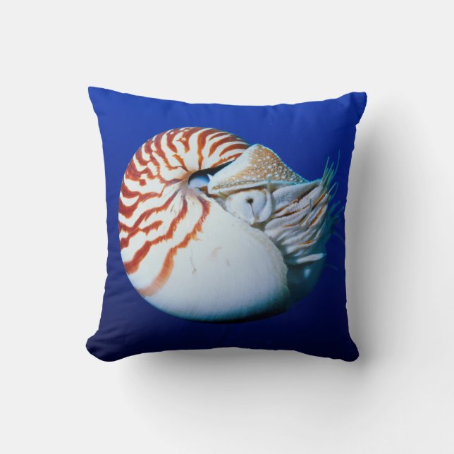 Coussin Gros plan de nautile à chambre (Recto)