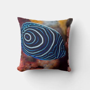 Coussin Gros plan de poisson-ange impérial