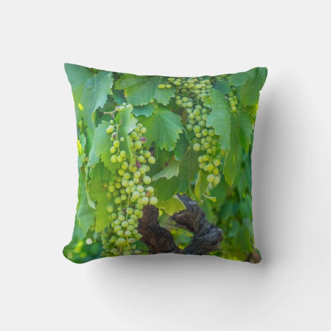 Coussin Gros plan de raisins en maturation (Recto)