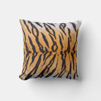 Gros plan de Tigre Indo-Chinois (Panthera)