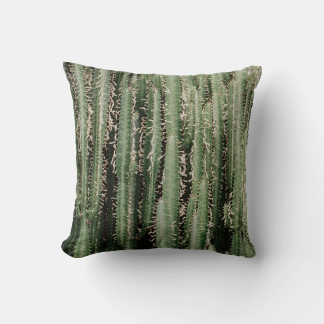 Coussin Gros plan du plante de cactus vert (Recto)