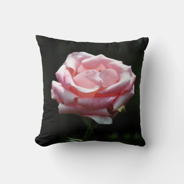 Coussin Gros plan Rose (Recto)