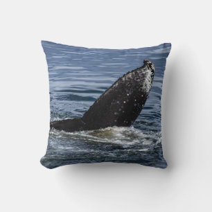 Coussin Grotte à bosse gros plan - Photo de la faune