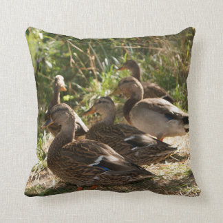 Coussin Groupe de canards, carreau