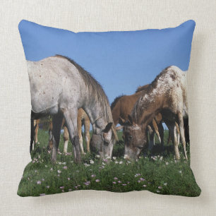 Coussin Groupe de pâturage de chevaux d'Appaloosa