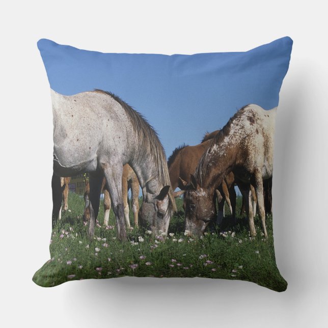 Coussin Groupe de pâturage de chevaux d'Appaloosa (Recto)