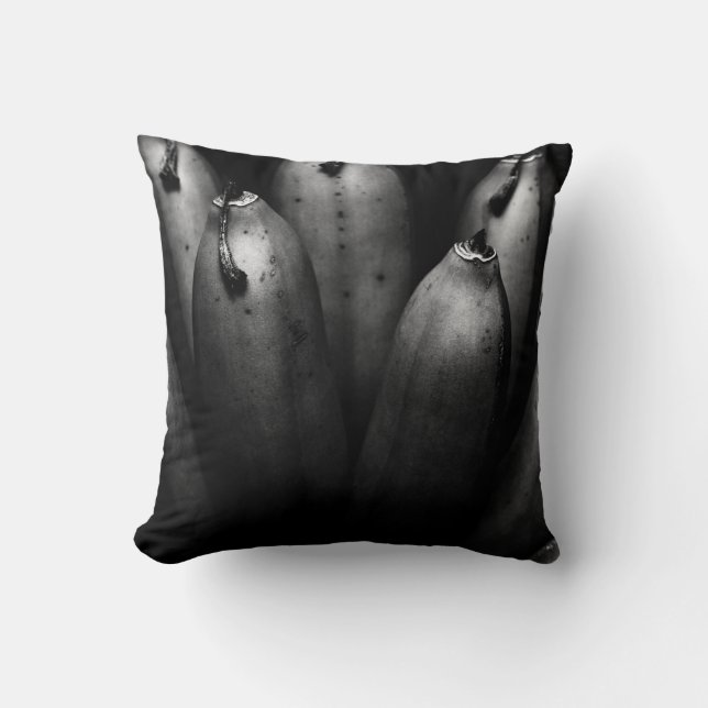 Coussin groupe divertissant (Recto)