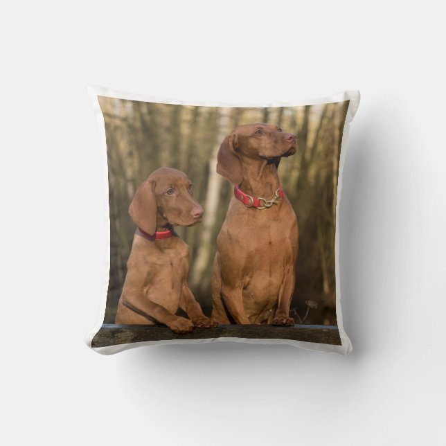 Coussin groupe vizsla (Recto)